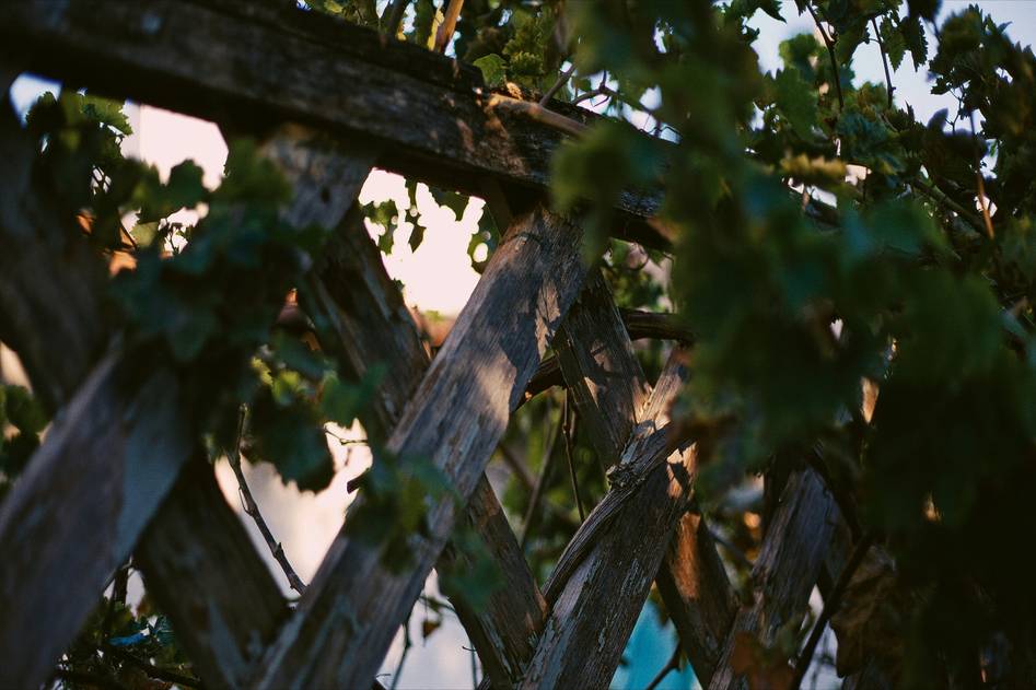 Homepage for Home Improvement Outdoor Furniture & Decor trellises