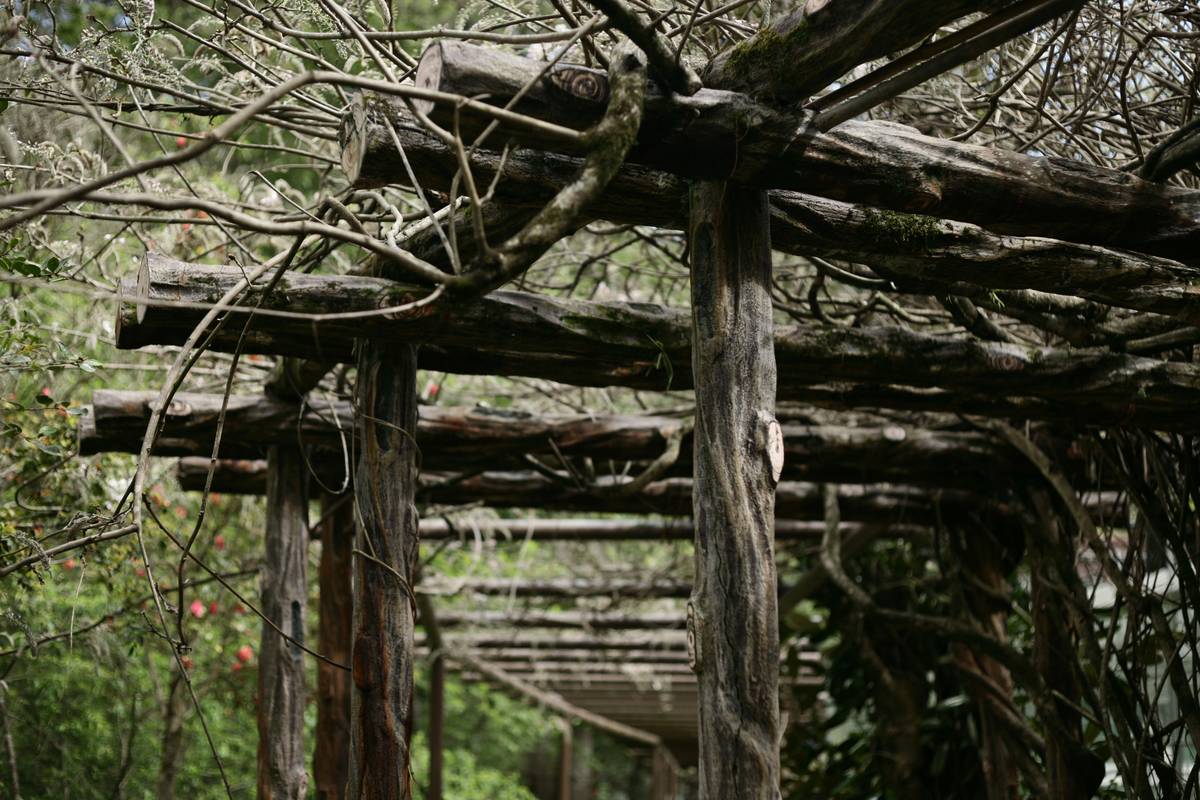 Outdoor Wall Trellises: 7 Proven Tips to Avoid Costly Mistakes