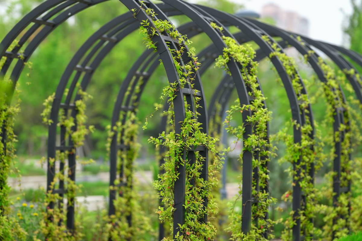 trelli installation trellise outdoor artificial flower mounted securely against a brick wall with stainless steel brackets