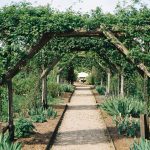 Outdoor Garden Trellises: 7 Proven Tips to Avoid Costly Mistakes